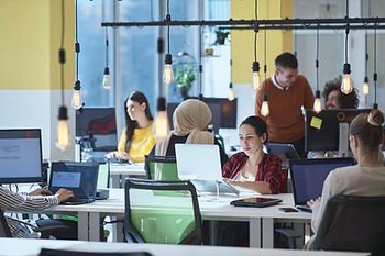 Création d'Entreprises en Flandre : Une Réussite Entrepreneuriale